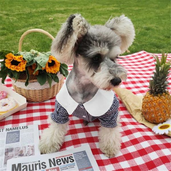 shirts lovely simple summer pattern charm pet pet casual t-shirts outdoor soft touch chai keji dog apparel
shirts lovely simple summer pattern charm pet pet casual t-shirts outdoor soft touch chai keji dog apparel