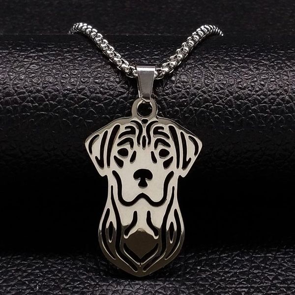 pendant necklaces 2021 dog stainless steel chocker necklace women jewelry silver color labrador retriever acero inoxidable n18064
pendant necklaces 2021 dog stainless steel chocker necklace women jewelry silver color labrador retriever acero inoxidable n18064