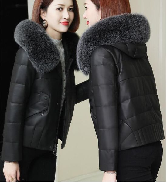 thick leather down jacket cotton-padded jacket female autumn and winter new style fur collar pu leather korean fashion slim jacket, Black
thick leather down jacket cotton-padded jacket female autumn and winter new style fur collar pu leather korean fashion slim jacket, Black