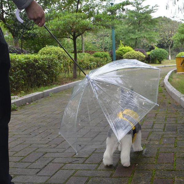 dog collars & leashes original transparent pe pet umbrella small rain gear with metal leads keeps dry raincoat supplies
dog collars & leashes original transparent pe pet umbrella small rain gear with metal leads keeps dry raincoat supplies