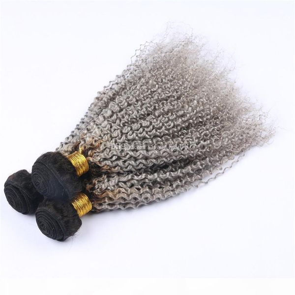 ombre grey curly human hair bundles 2 tone 1b grey brazilian kinkys curly virgin hair weave weft 3pcs lot black and gray bundles, Black;brown
ombre grey curly human hair bundles 2 tone 1b grey brazilian kinkys curly virgin hair weave weft 3pcs lot black and gray bundles, Black;brown