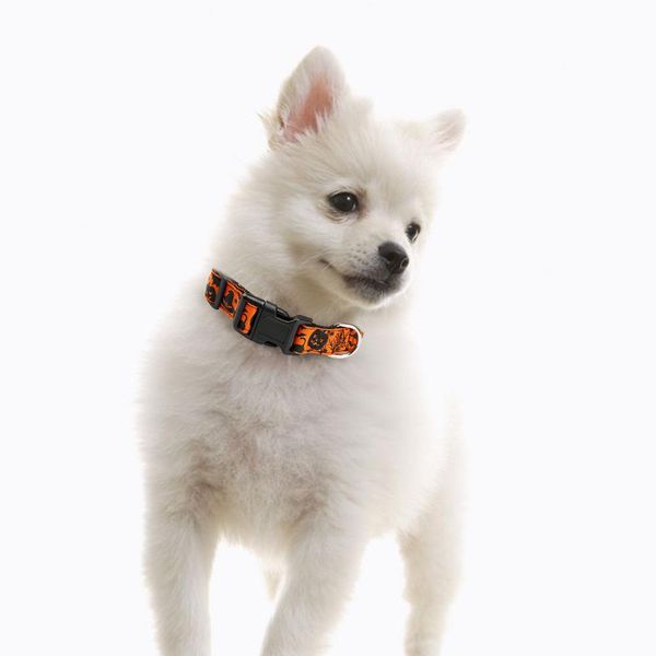 хэллоуин призрак поставляет ошейник собак нейлоновый трюк или лечить большие собаки летучая мышь тыква хэллоуин призрак q wmtxxn