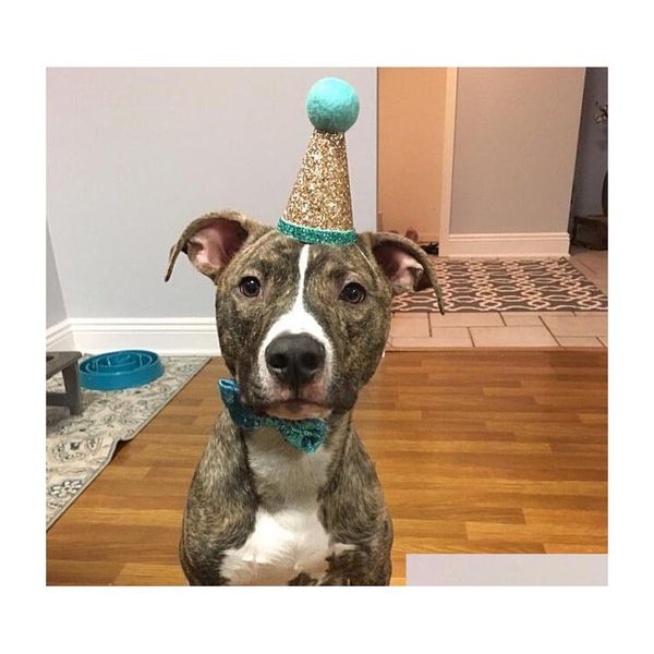 pet party hat pet crown & bow tie dog birthday hat party outfit puppies headwear accessories for dog cat costume sqesr
pet party hat pet crown & bow tie dog birthday hat party outfit puppies headwear accessories for dog cat costume sqesr
