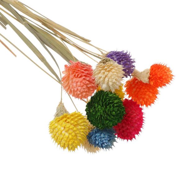natural plant dried flower gift wedding home decor strawberries grass floral arrangement pgraphy props party supplies
natural plant dried flower gift wedding home decor strawberries grass floral arrangement pgraphy props party supplies