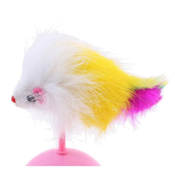 1pc feather mouse cat toy tumbler cat toys ball kitten mouse toys interactive colorful feather pet toys for cats diam jllvbx
1pc feather mouse cat toy tumbler cat toys ball kitten mouse toys interactive colorful feather pet toys for cats diam jllvbx