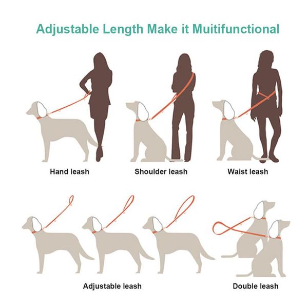 multifunctional nylon dog leash pet dog leash walking training lead cats dogs leashes strap long dog belt rope 6ft bbyned
multifunctional nylon dog leash pet dog leash walking training lead cats dogs leashes strap long dog belt rope 6ft bbyned