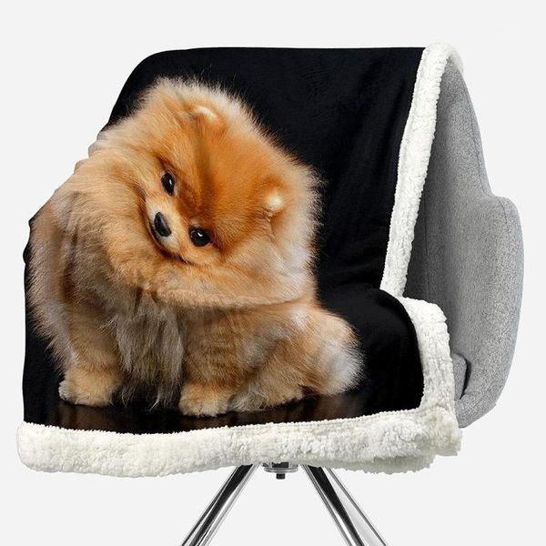 bedblk 3d cute spitz dog blanket cozy warm plush sofa couch bed travel thick throw blanket all season bedding blankets1
bedblk 3d cute spitz dog blanket cozy warm plush sofa couch bed travel thick throw blanket all season bedding blankets1