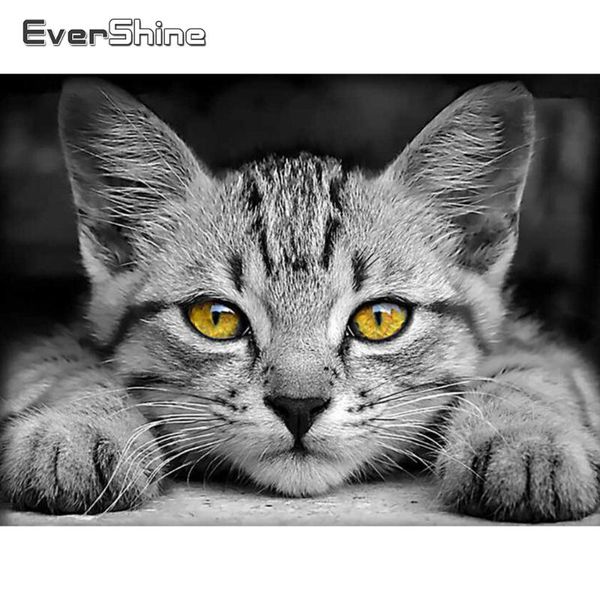 evershine diy алмазные мозаики животных картина ронсушки алмазная живопись кошка кресты стежка вышивка наборы вышивки дома декор
evershine diy алмазные мозаики животных картина ронсушки алмазная живопись кошка кресты стежка вышивка наборы вышивки дома декор
