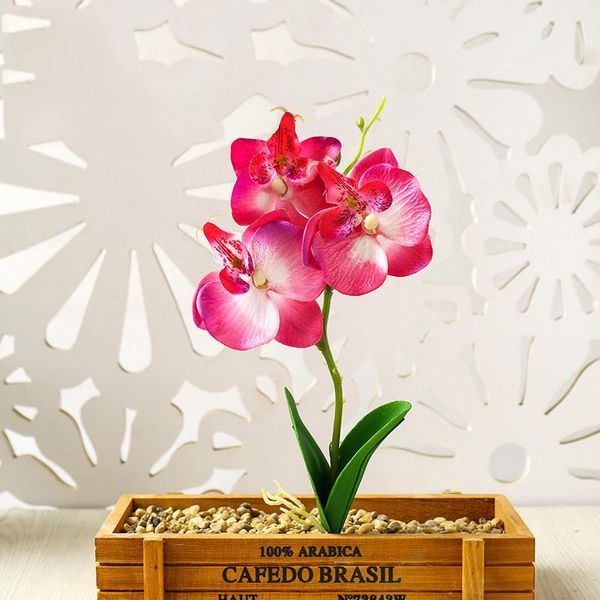 artificial potted flower home garden balcony mini flower decor fake potted plant phalaenopsis bonsai plant
artificial potted flower home garden balcony mini flower decor fake potted plant phalaenopsis bonsai plant