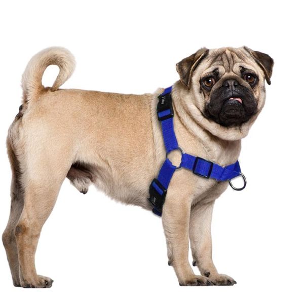 no pull nylon dog harness adjustable pet dog harnesses vest for medium large dogs pitbull bulldog german shepherd s- wmtuga
no pull nylon dog harness adjustable pet dog harnesses vest for medium large dogs pitbull bulldog german shepherd s- wmtuga