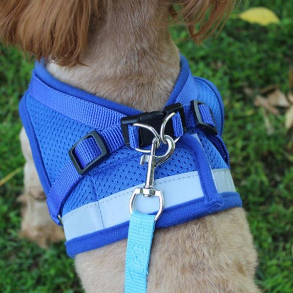 dog collars & leashes pet puppy collar chest strap night reflective design adjustable soft breathable cat harness mesh vest
dog collars & leashes pet puppy collar chest strap night reflective design adjustable soft breathable cat harness mesh vest
