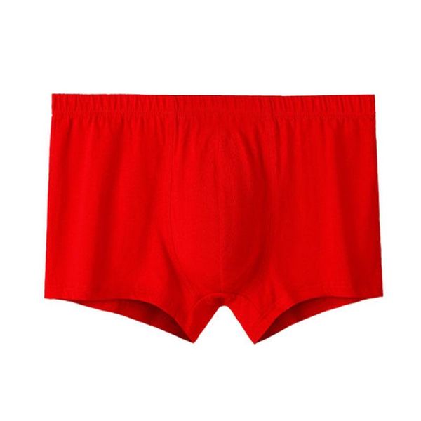 underpants men plus size underwear 5xl 6xl 7xl 8xl waist 140cm cotton red colors, Black;white
underpants men plus size underwear 5xl 6xl 7xl 8xl waist 140cm cotton red colors, Black;white