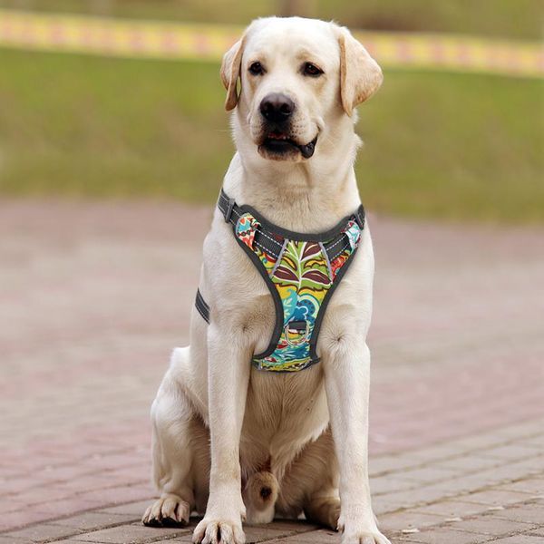 no trav нейлоновая собака жгут жилет отражающий k9 жгут собаки регулируемые напечатанные жгуты щенков для домашних животных для маленького с
no trav нейлоновая собака жгут жилет отражающий k9 жгут собаки регулируемые напечатанные жгуты щенков для домашних животных для маленького с