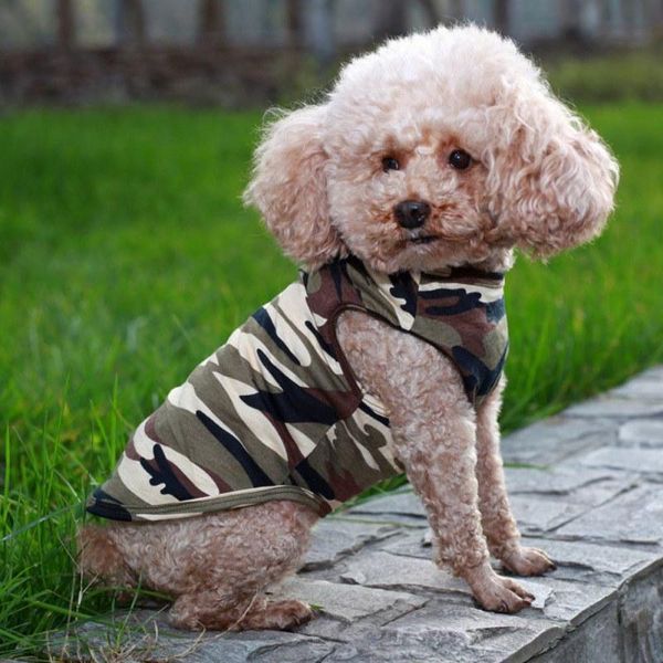 dog apparel fashion tshirt vest spring and summer costume camouflage with hat comfortable clothes supplies
dog apparel fashion tshirt vest spring and summer costume camouflage with hat comfortable clothes supplies