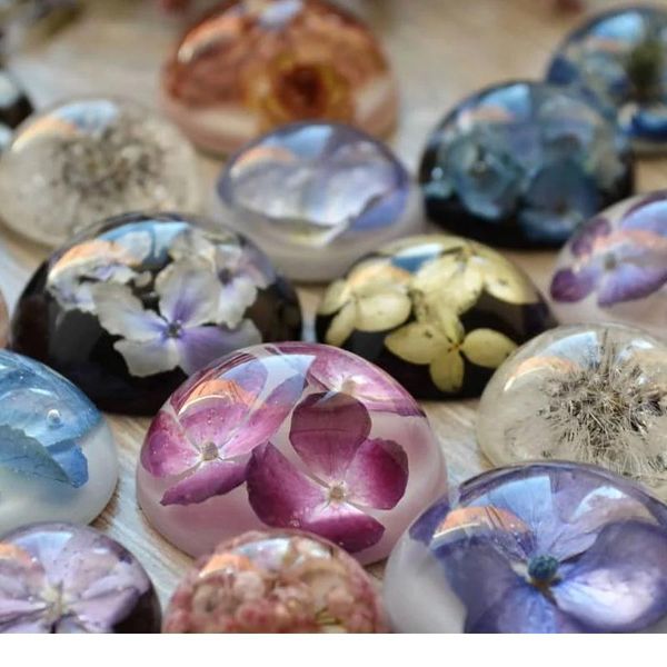 1box ammi majus real dried flower dry plants for epoxy resin pendant jewelry making craft diy accessories nail art decal jllnri
1box ammi majus real dried flower dry plants for epoxy resin pendant jewelry making craft diy accessories nail art decal jllnri