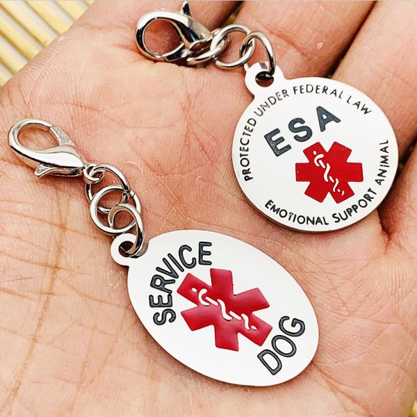 life esa support keychain medicine tag keychain emergency channel jewelry gift, Slivery;golden
life esa support keychain medicine tag keychain emergency channel jewelry gift, Slivery;golden