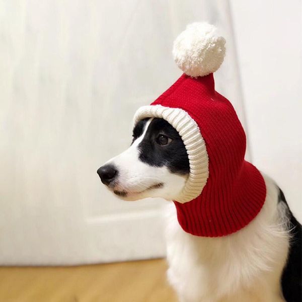 трикотажное pet hat рождество собака cap зимы теплые собаки шляпы для собак кошки аксессуары шерстяные french bulldog колпачки для собак нов
трикотажное pet hat рождество собака cap зимы теплые собаки шляпы для собак кошки аксессуары шерстяные french bulldog колпачки для собак нов