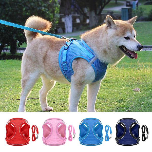 or cat nylon reflective mesh, a set of adjustable doggies with pets, walking seatbelts, small and medium dog vests
or cat nylon reflective mesh, a set of adjustable doggies with pets, walking seatbelts, small and medium dog vests