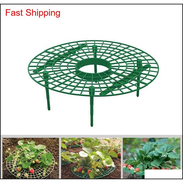 strawberry supports keeping fruit elevated to avoid ground rot plant support with 4 sturdy qylthr packing2010
strawberry supports keeping fruit elevated to avoid ground rot plant support with 4 sturdy qylthr packing2010