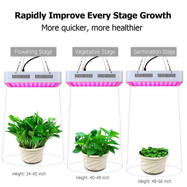design 1200w high intensity led dual chips 380-730nm full light spectrum led plant growth lamp white low heat
design 1200w high intensity led dual chips 380-730nm full light spectrum led plant growth lamp white low heat