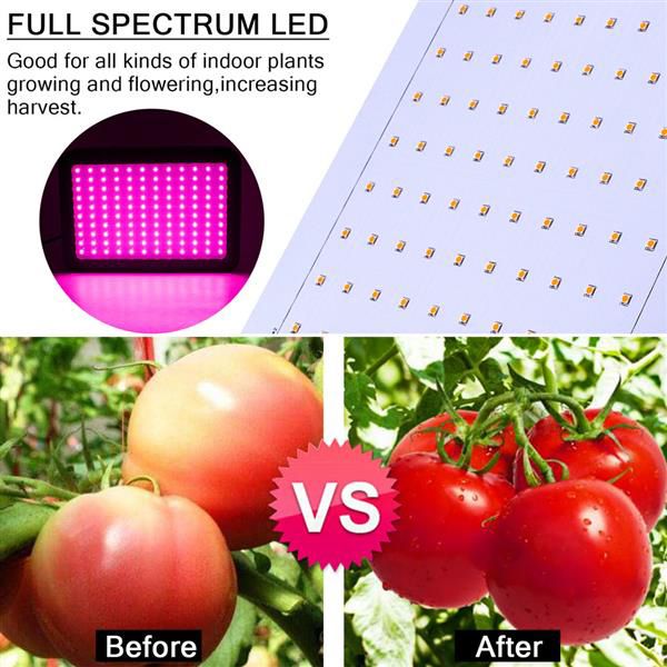 delivery 600w 60*10w full spectrum 3030 lamp bead plant lamp single control premium material grow lights black
delivery 600w 60*10w full spectrum 3030 lamp bead plant lamp single control premium material grow lights black