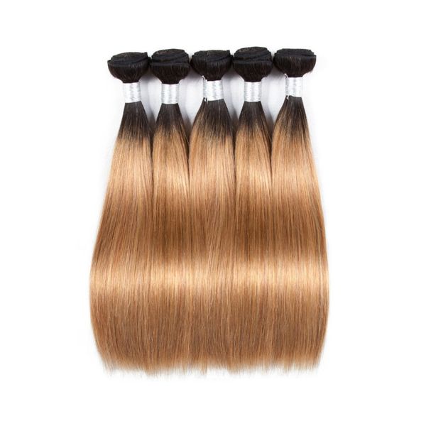 5bundles 500g lot unprocessed virgin weave 10a peruvian ombre remy human hair extension color1b/27 soft smooth straight texture, Black
5bundles 500g lot unprocessed virgin weave 10a peruvian ombre remy human hair extension color1b/27 soft smooth straight texture, Black