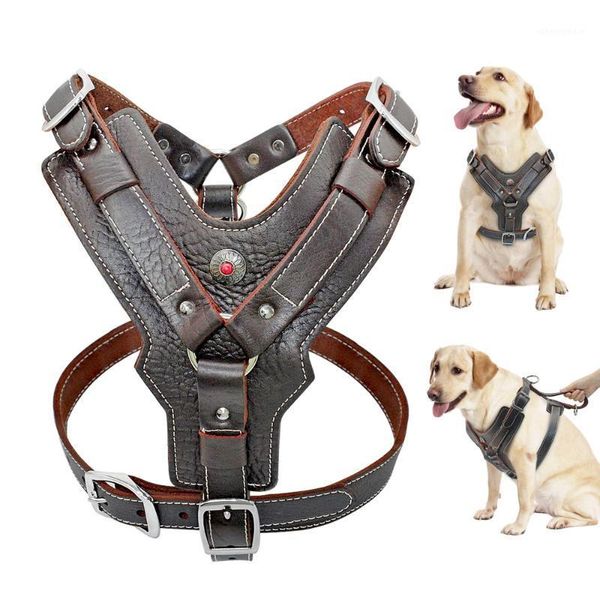 durable harness dog large dogs genuine leather harnesses pet training vest with quick control handle for labrador pitbull k91
durable harness dog large dogs genuine leather harnesses pet training vest with quick control handle for labrador pitbull k91