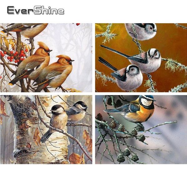evershine diamond mosaic bird full round drill diamond embroidery animal cross stitch kit painting needlework decoration
evershine diamond mosaic bird full round drill diamond embroidery animal cross stitch kit painting needlework decoration