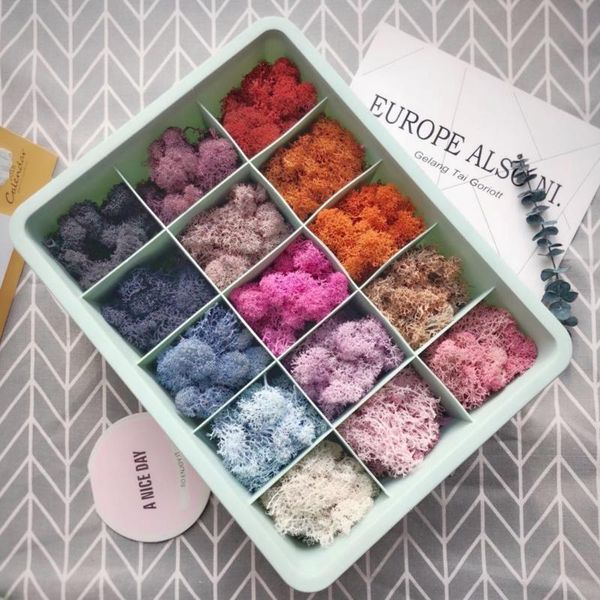 decorative flowers & wreaths 24-color immortality flower diy material package plant wall moss boxed imported dried 500g
decorative flowers & wreaths 24-color immortality flower diy material package plant wall moss boxed imported dried 500g
