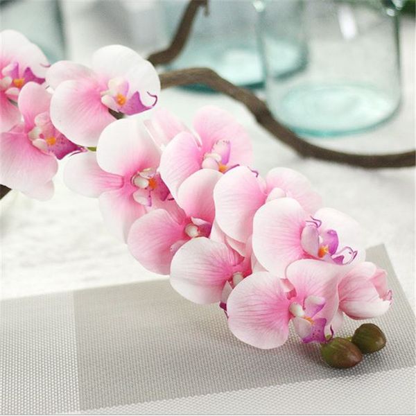 8 colors 10 heads latex phalaenopsis decorative flowers silicon real touch large orchid orchidee artificial flower for wedding decoration
8 colors 10 heads latex phalaenopsis decorative flowers silicon real touch large orchid orchidee artificial flower for wedding decoration