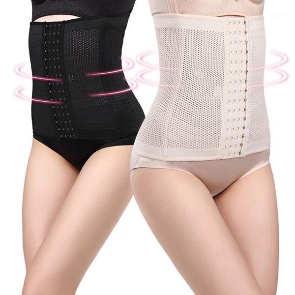 gym clothing waist trainer hostell shapers corset slimming belt shaper body modeling strap belt1, White;black
gym clothing waist trainer hostell shapers corset slimming belt shaper body modeling strap belt1, White;black
