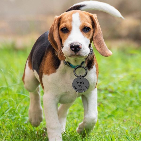 collar dog personalized pet id tag engraved pet id name for cat puppy dog collar tag pet accessories dropshipping q bbyxqy
collar dog personalized pet id tag engraved pet id name for cat puppy dog collar tag pet accessories dropshipping q bbyxqy