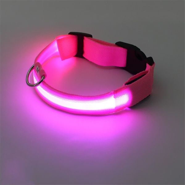 factory pricerechargeable led dog s m l xl pets night safety flashing collar with usb cable charging
factory pricerechargeable led dog s m l xl pets night safety flashing collar with usb cable charging