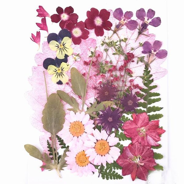 2020 pressed flower combination pink color for cell phone decoration ent 116pcs
2020 pressed flower combination pink color for cell phone decoration ent 116pcs