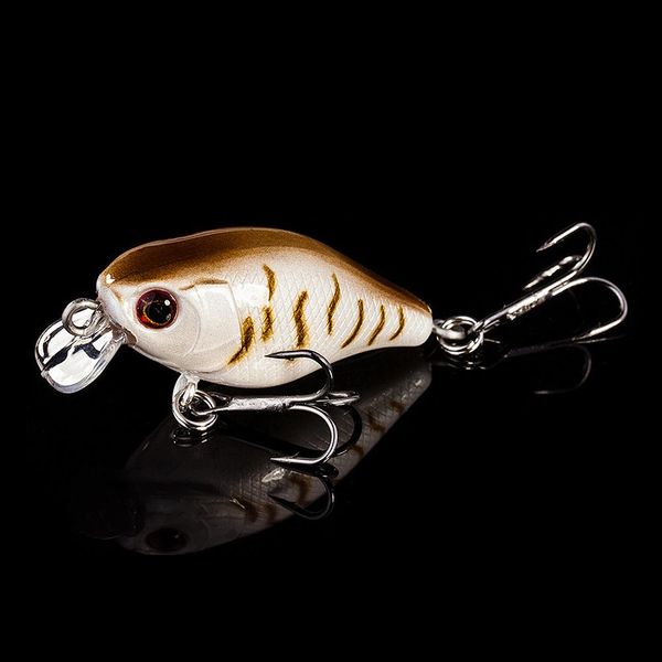 qxo crankbaits все для рыбалки рыболовные приманки приманки для рыбалки насекомых поппер силиконовые приманки grank искусственная приманка л
qxo crankbaits все для рыбалки рыболовные приманки приманки для рыбалки насекомых поппер силиконовые приманки grank искусственная приманка л