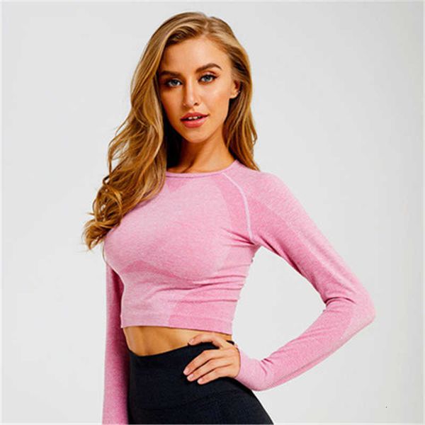 women seamless yoga t-shirt fashion trend high stretch tight sport short tee female new fitness running slim sportswear tshirt, White
women seamless yoga t-shirt fashion trend high stretch tight sport short tee female new fitness running slim sportswear tshirt, White