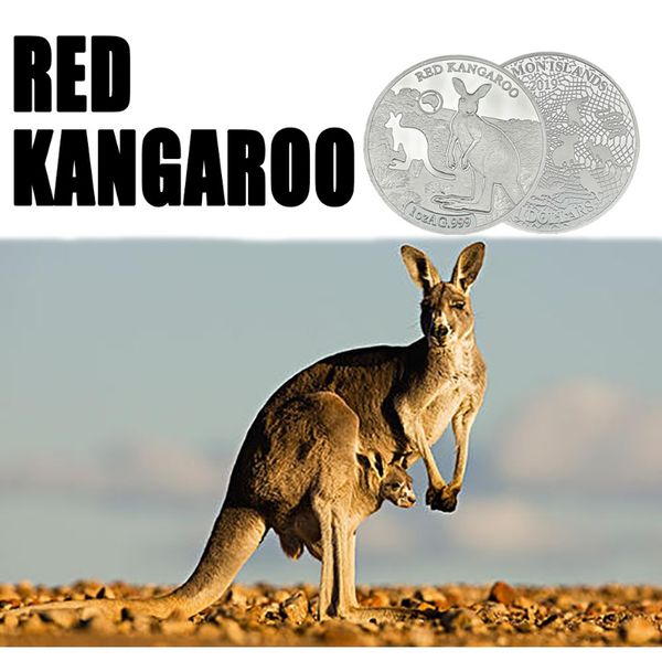 rh sevilated 2019 соломоновые острова red kangaroo 1ozag commorative монеты коллекционирования для коллекционных подарков бизнес подарки f b
rh sevilated 2019 соломоновые острова red kangaroo 1ozag commorative монеты коллекционирования для коллекционных подарков бизнес подарки f b