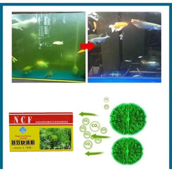 очиститель воды все цели чище cleaner eco aquarium очистки порошковых водорослей репеллент агента бака moss remover aquarium d2 wmtgql
очиститель воды все цели чище cleaner eco aquarium очистки порошковых водорослей репеллент агента бака moss remover aquarium d2 wmtgql