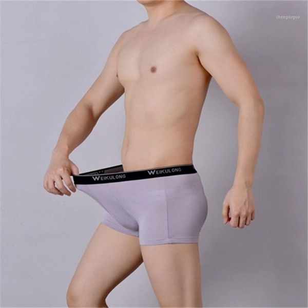 men's underwear men's boxers modal viscose fibre traceless breathable youth boy's boxer boxers summer thin triangular1, Black;white
men's underwear men's boxers modal viscose fibre traceless breathable youth boy's boxer boxers summer thin triangular1, Black;white