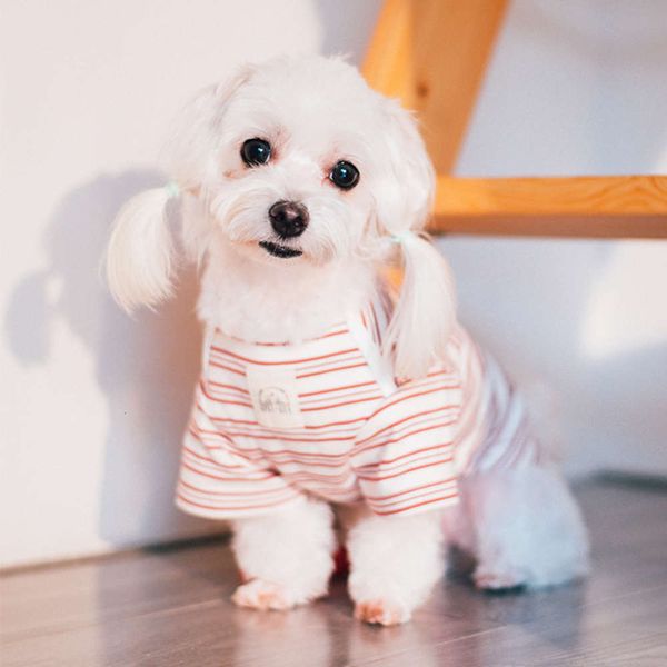 is pet autumn and teddy bear small dog cocky cat clothing cotton backing winter
is pet autumn and teddy bear small dog cocky cat clothing cotton backing winter