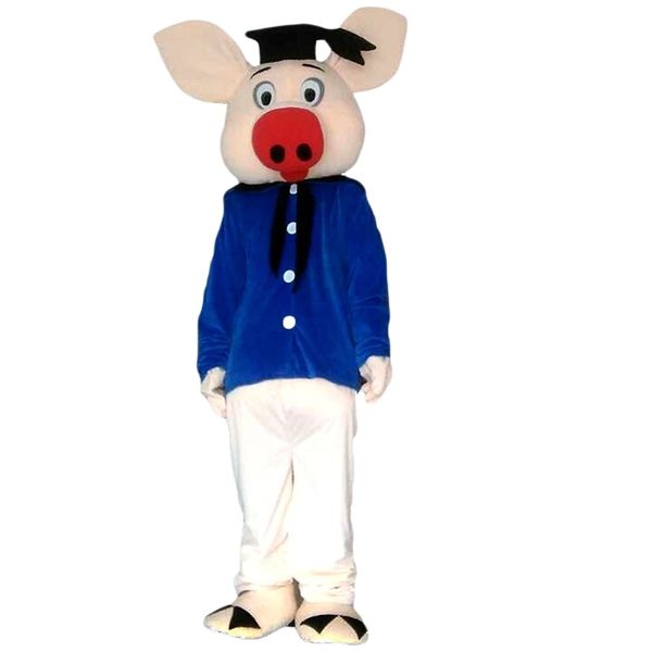 pig doctor mascot costume cartoon character size longteng (tm) 034, Red;yellow