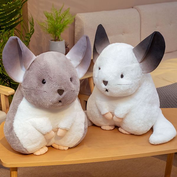 kawaii simulation hamster plush toys snacks hamster toy animal stuffed children's baby comfort toy christmas gifts
kawaii simulation hamster plush toys snacks hamster toy animal stuffed children's baby comfort toy christmas gifts