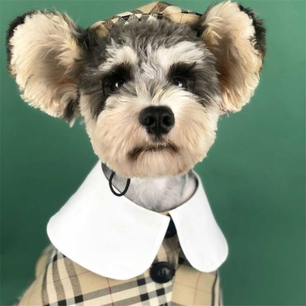 outdoor pet cloak hats festival style trendy style schnauzer cloak latest stripe designer bichon hats set
outdoor pet cloak hats festival style trendy style schnauzer cloak latest stripe designer bichon hats set