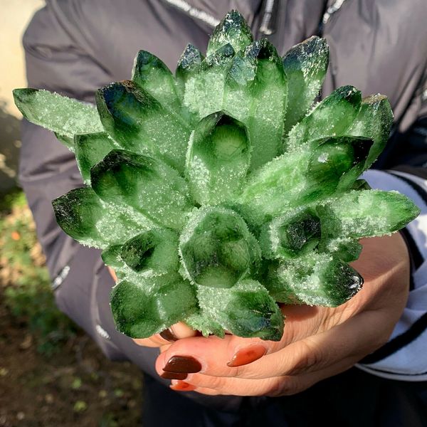 new find green phantom quartz crystal cluster mineral specimen healing, Black
new find green phantom quartz crystal cluster mineral specimen healing, Black