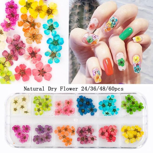 nail art decorations 24/36/48/60pcs natural dried flowers for women girl diy designs 3d japanese supplies, Silver;gold
nail art decorations 24/36/48/60pcs natural dried flowers for women girl diy designs 3d japanese supplies, Silver;gold