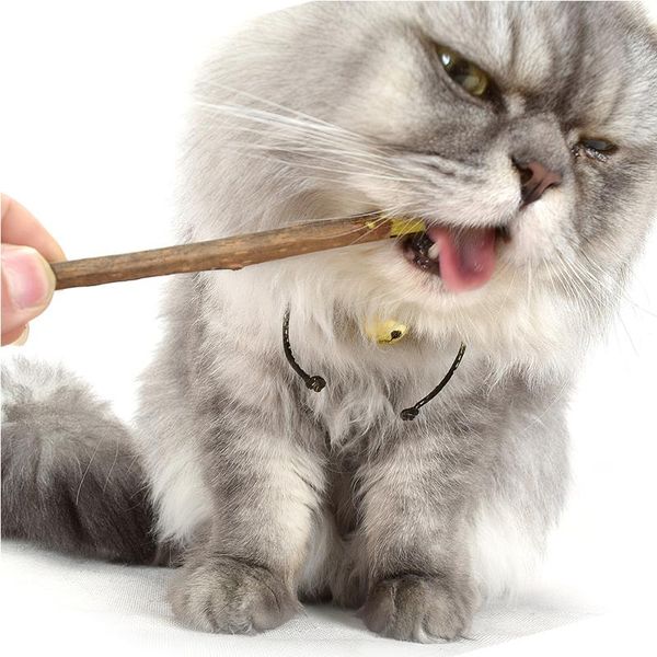 cat toys 5/20pcs natural catnip pet molar toothpaste stick toy actinidia fruit silvervine sticks cleaning teeth
cat toys 5/20pcs natural catnip pet molar toothpaste stick toy actinidia fruit silvervine sticks cleaning teeth
