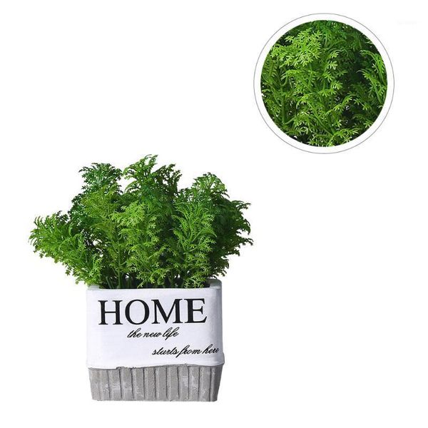 1pc creative home square cement flowerpot fake bonsai deskornament decoration for home office (sky-blue)1
1pc creative home square cement flowerpot fake bonsai deskornament decoration for home office (sky-blue)1
