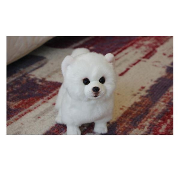 plush pomeranian dog doll simulation dog stuffed animal toys super realistic dog toy for pet lovers luxury home decor sn wmtrni
plush pomeranian dog doll simulation dog stuffed animal toys super realistic dog toy for pet lovers luxury home decor sn wmtrni