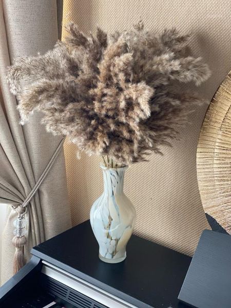 10 pcs pampas grass real dried plants decor wedding flower bunch natural plants decor flowers 60cm long1
10 pcs pampas grass real dried plants decor wedding flower bunch natural plants decor flowers 60cm long1