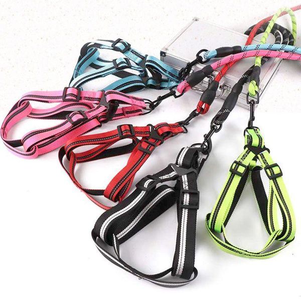 pet leashes hand holding rope comfortable durable reflective design adjustable pet outdoor travelling supplies1
pet leashes hand holding rope comfortable durable reflective design adjustable pet outdoor travelling supplies1